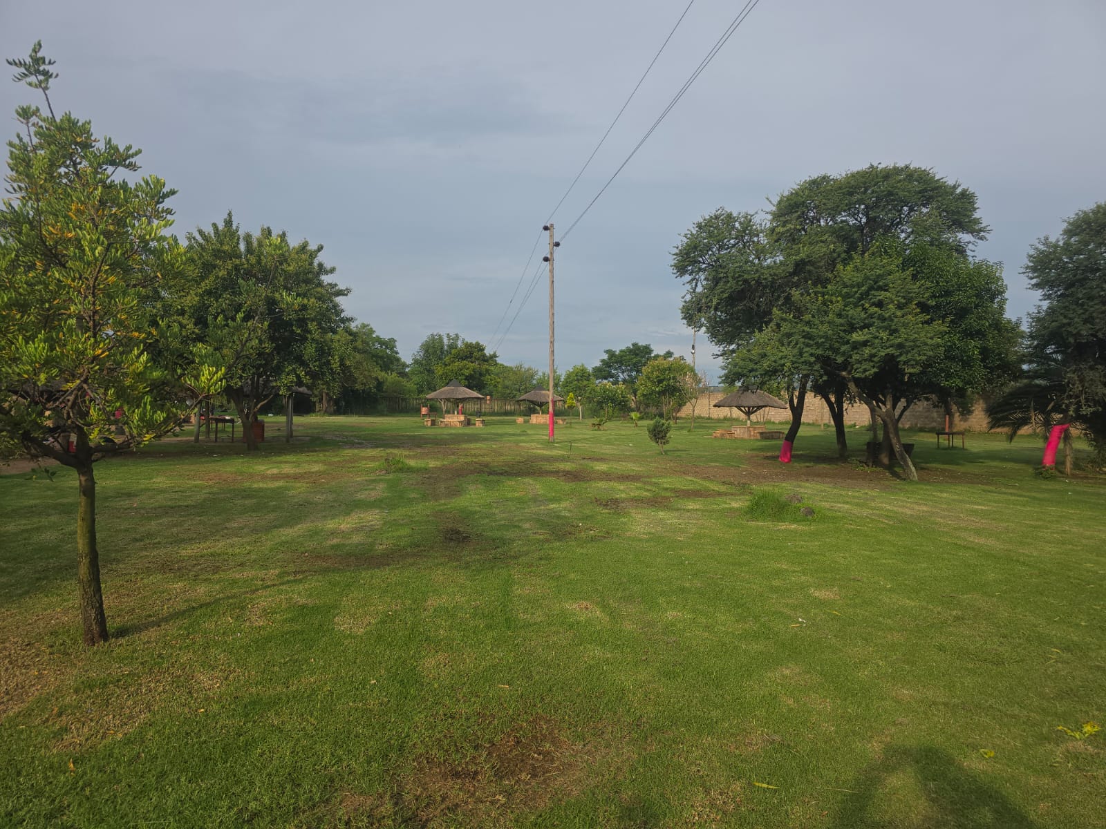 Wide open lawn at Kuhle Lodge dotted with thatched gazebos